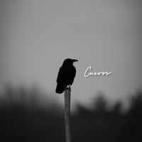 CUERVOS - Single - OG EL COLOSO