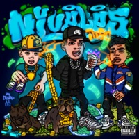 Niveles (feat. Jack RyaNn) - Single - The Firi