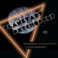 Planetary Psychopomp - Bushmeat Sound