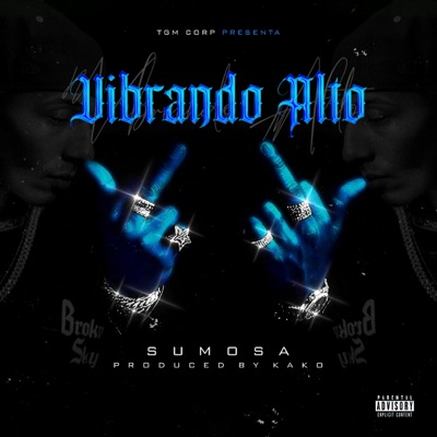 Vibrando alto (Por mi) (feat. Kako prod) - Single