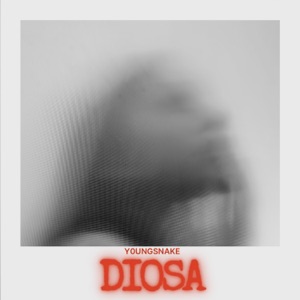 DIOSA