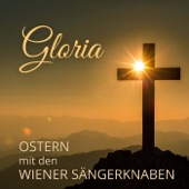 Gloria - Ostern mit den Wiener Sängerknaben artwork
