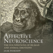 Affective Neuroscience