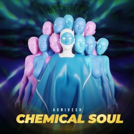 Chemical Soul Agnivesh