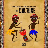 The Culture - Fns MusiQ