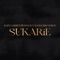 Sukarie (Remix) artwork