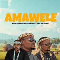 Amawele (feat. Mr Dingo) - Single - Khoza Twins Maskandi DJ'S
