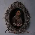 Contigo Estare