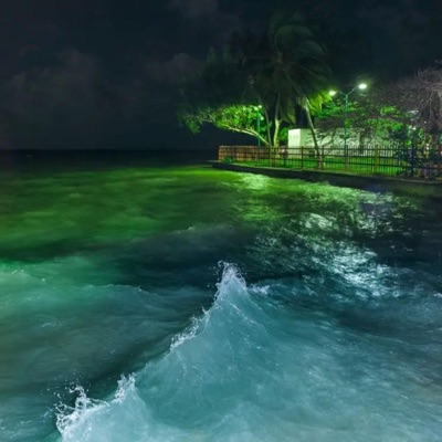 untiljapan archive - life i chose