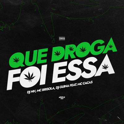 Que Droga Foi Essa (feat. MC Cacas) - Single