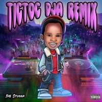 TicToc (feat. Nikki Natural) [DJA Remix (clean version)] - Single - BIG $tunna