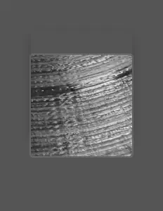 聆聽 Metropol、觀看音樂影片、閱讀小傳、查看巡演日期等！