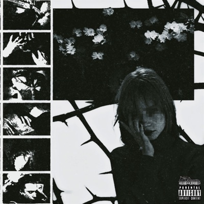 S.E.R.V.A.N.T, Vol. 2