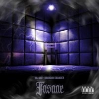 Insane (feat. Brandon Swanger) - Single - Lil Na8