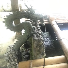 kiss me on my face jirachi