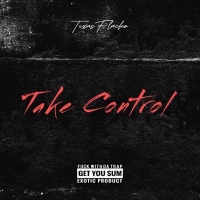 Take Control - Single