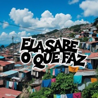Ela Sabe o Que Faz - Single - MC Max & DJ Nino do Vidigal