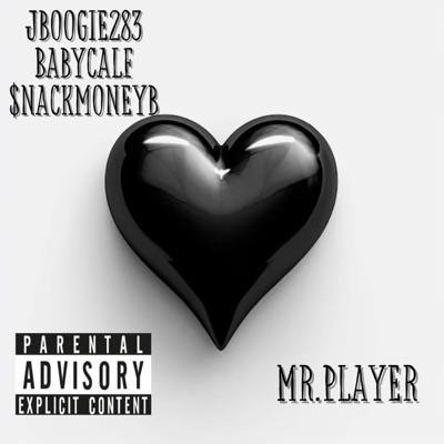 Mr. Player - Single