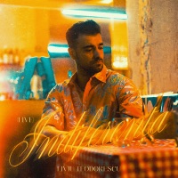 Indiferența (Live) - Single - Liviu Teodorescu