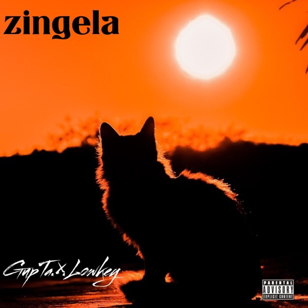 Zingela (feat. LowKey)