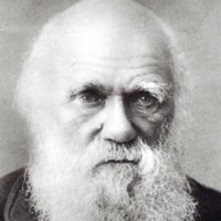 Selezione naturale (feat. Prisma) - Single - Ks