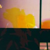 True Colours