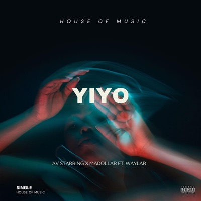 Yiyo (feat. Waylar) - Single