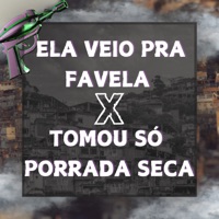 Ela Veio pra Favela X Tomou Só Porrada Seca - Single - KS SHEIK & MC Braza