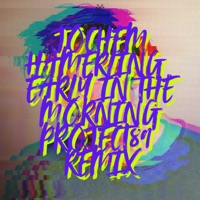 Early in the Morning (Project89 Remix) - Single - Jochem Hamerling & Project89