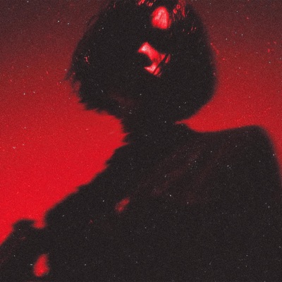 LIES (feat. Prodhicap) - Single