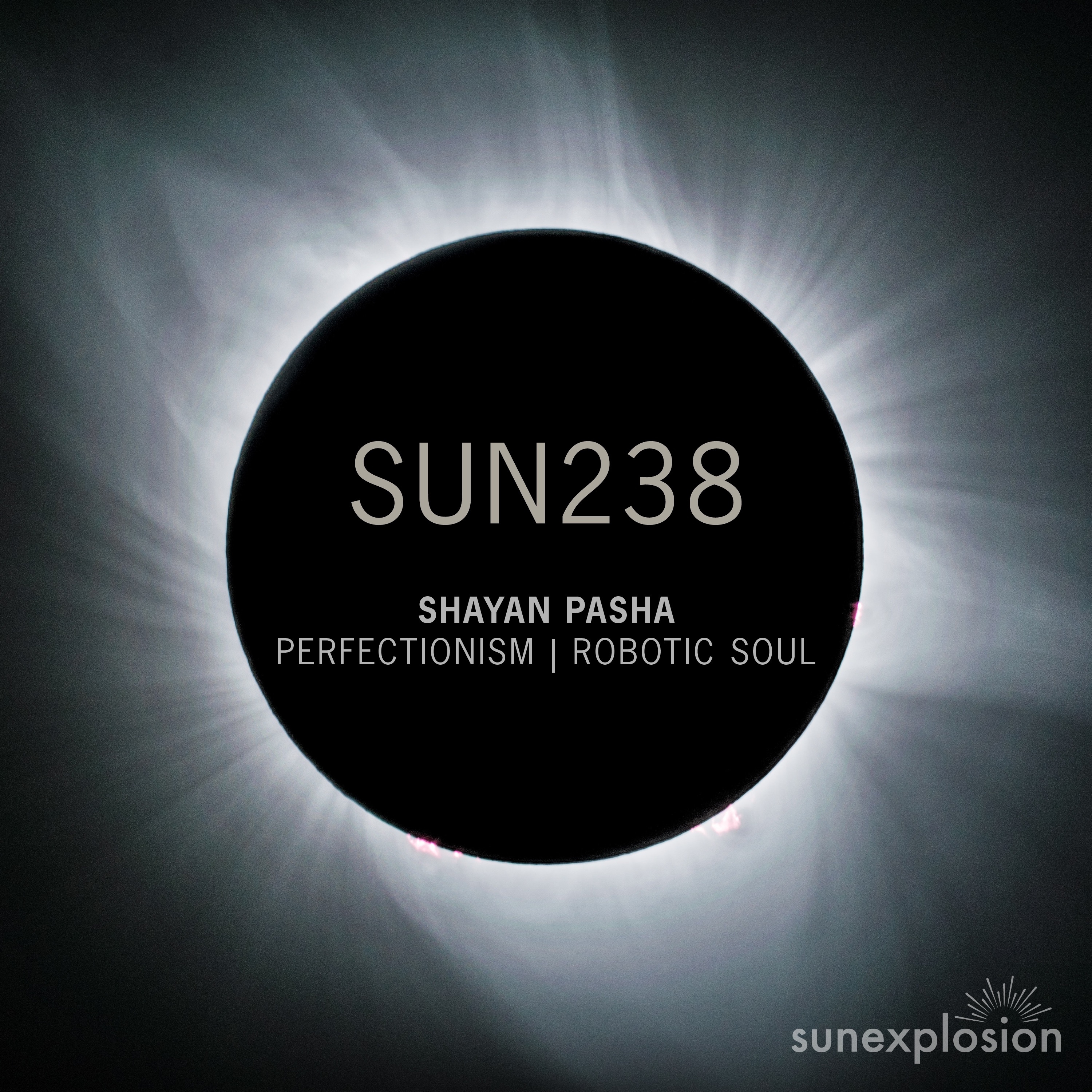 Perfectionism  Robotic Soul - Single