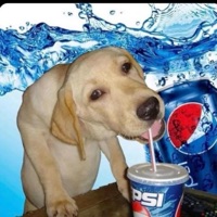 i cant say sorry (read) - Single - STAR NEDIA