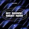 PEACE MAKER! - Sit Down: Right Now