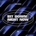 Sit Down Right Now