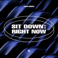 Sit Down: Right Now — PEACE MAKER!