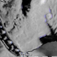 BLEED - Single - BoyKoy