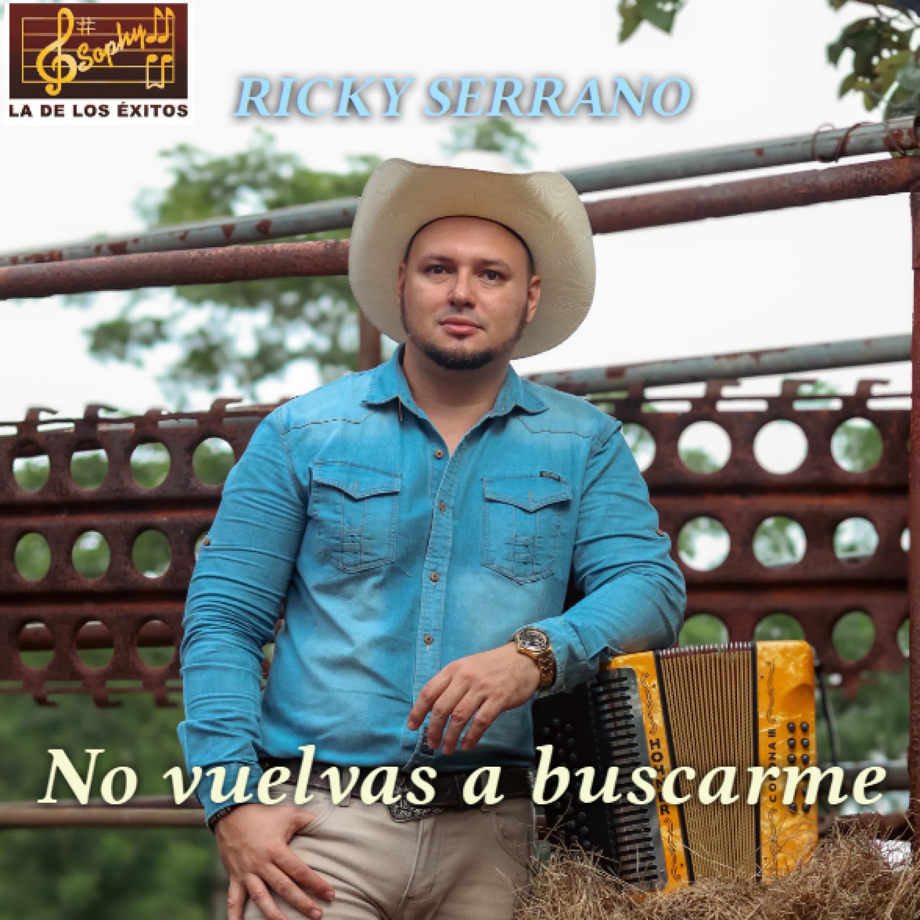 No vuelvas a buscarme - Single