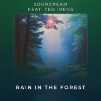Rain In The Forest (feat. Ted Irens) - Single - Sourcream