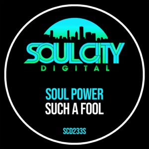 Such a Fool - Single