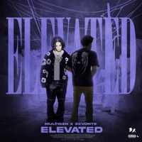 Elevated (feat. Multiszn) - Single - 3xVonte