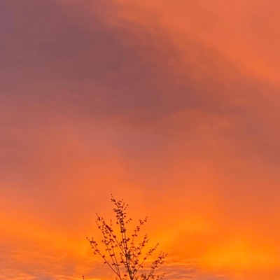 I CANT CHOOSE (Jude,LilAsh) - Single