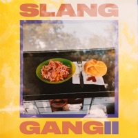 Slang Gang Pt. 2 (feat. BumBumKunst, Der Brxwnsxn, Laima & Kensee) - Single - Da Staummtisch