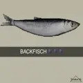 BACKFISCH