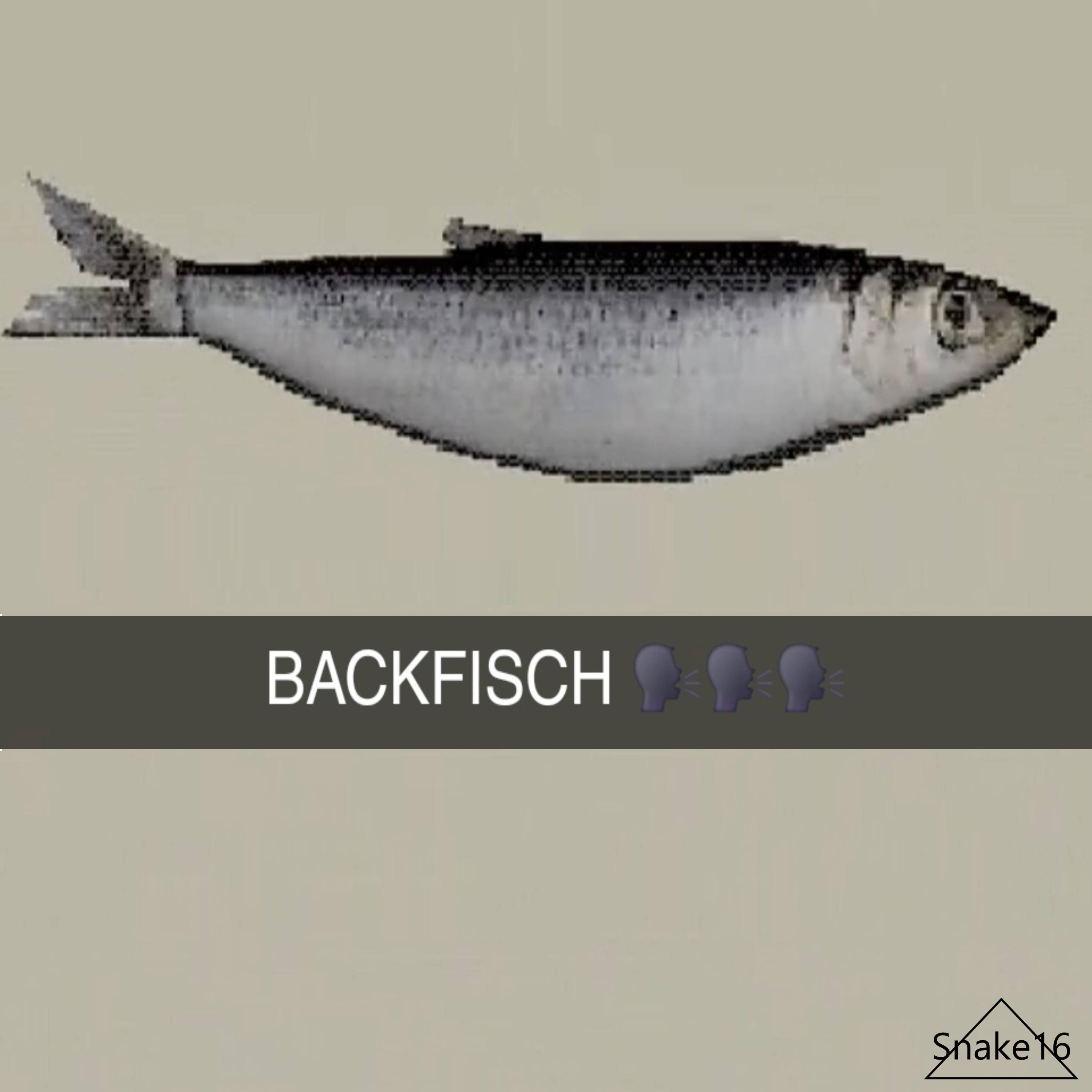 Snake16 - BACKFISCH