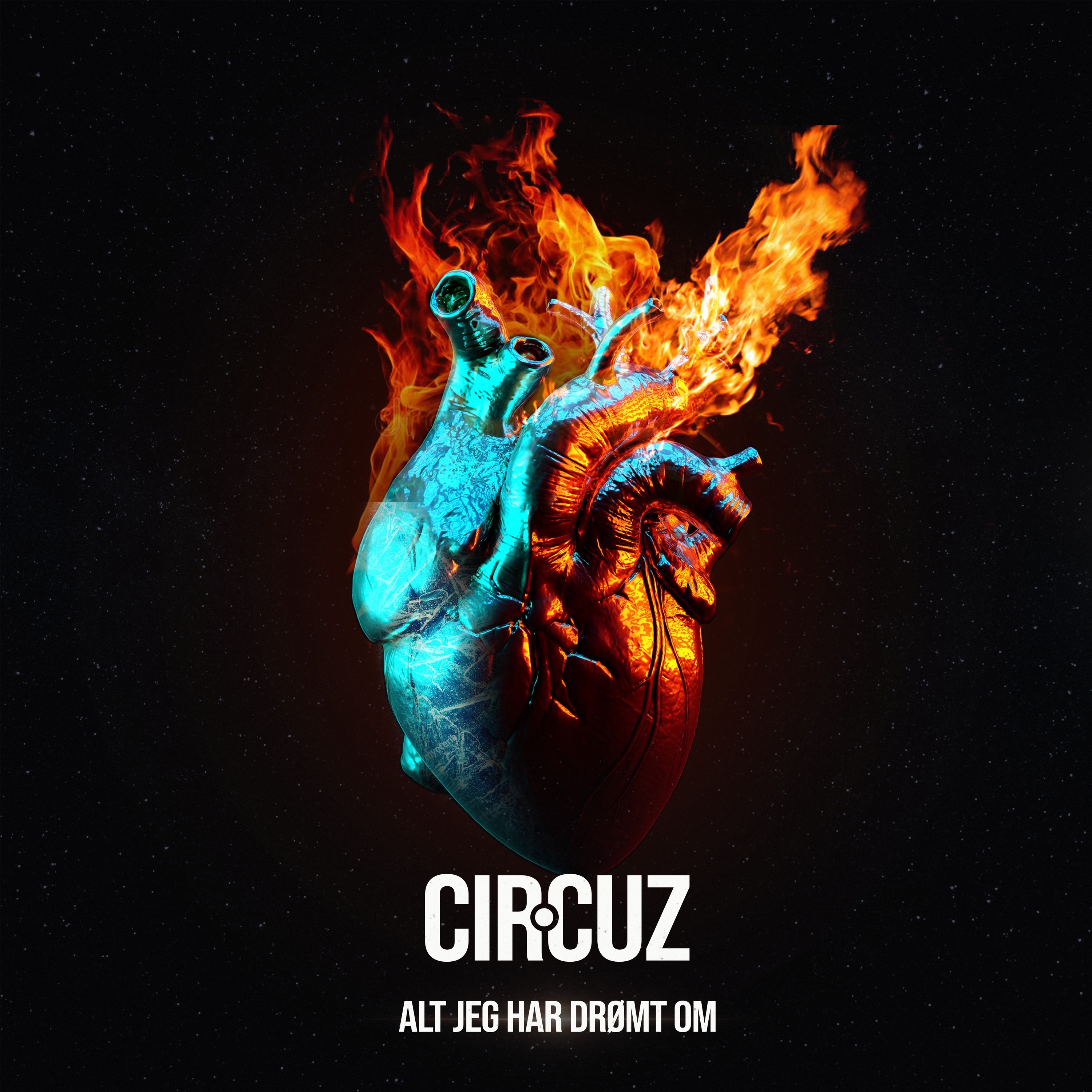 Alt jeg har drømt om - Single