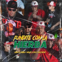 FUNDITE CON LA HIERBA (PRENDE UN BATE) (feat. Negro Flow D Hollywood & Ivan Produce) - Single - Chino la Rabia