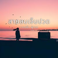 สายลมเจ็บปวด (feat. nAnAm official &amp; Winzt Thor) - ไอนํ้า.ai nAm Cover Art