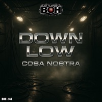 Down Low - Single - BEST OF HARDTEKK & Cosa Nostra