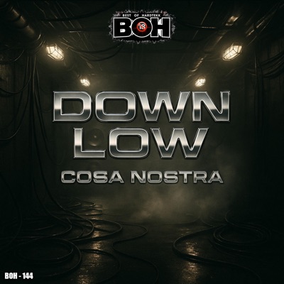 Down Low - Single