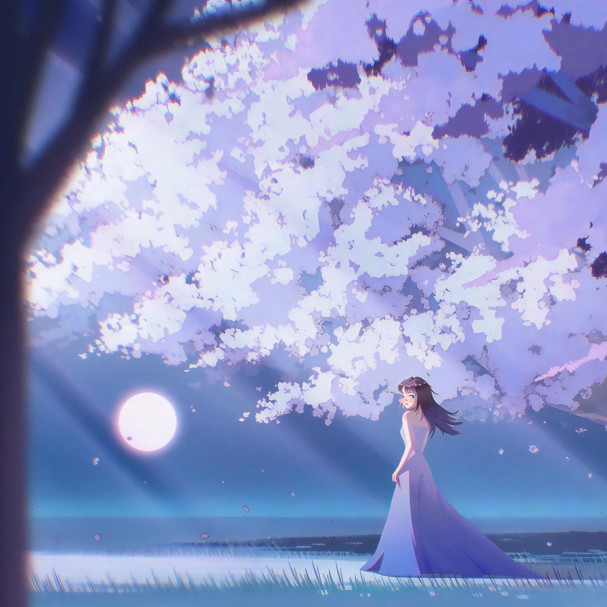 The Night Sky - Single